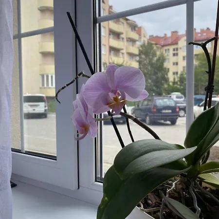 Apartment жк маєток володимирська 90