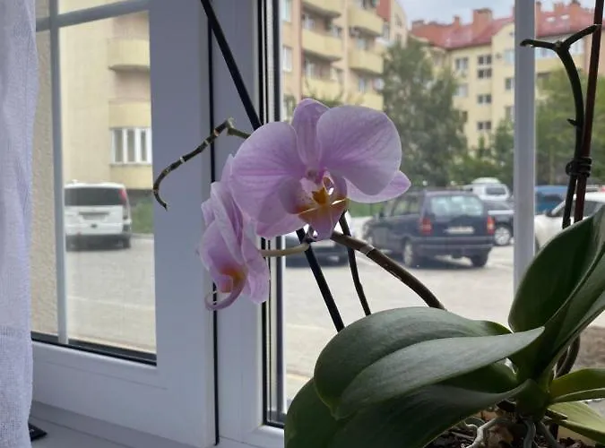 Apartamento жк маєток володимирська 90